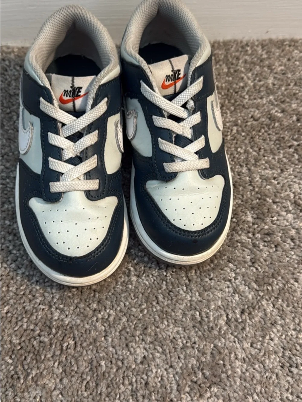 Toddler Nike Dunks